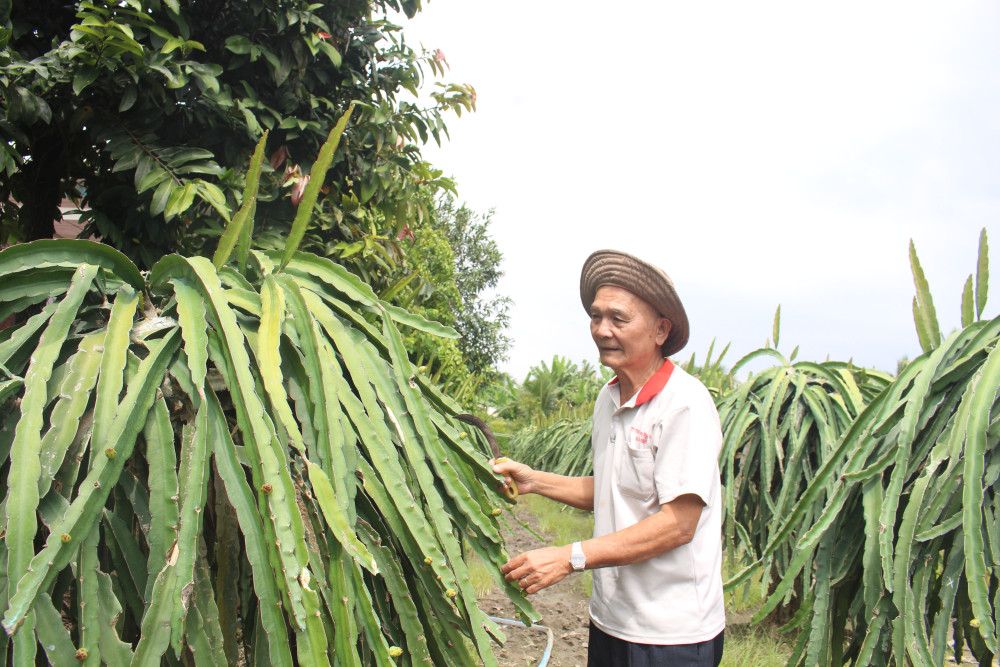 Vĩnh Công vươn mình phát triển trong giai đoạn mới