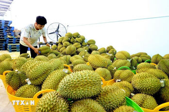 Vietnam eyes 2025 as breakthrough year for agricultural exports