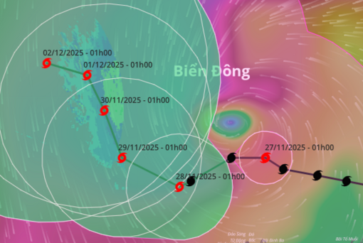Bão số 15 mạnh cấp 12, giật cấp 15