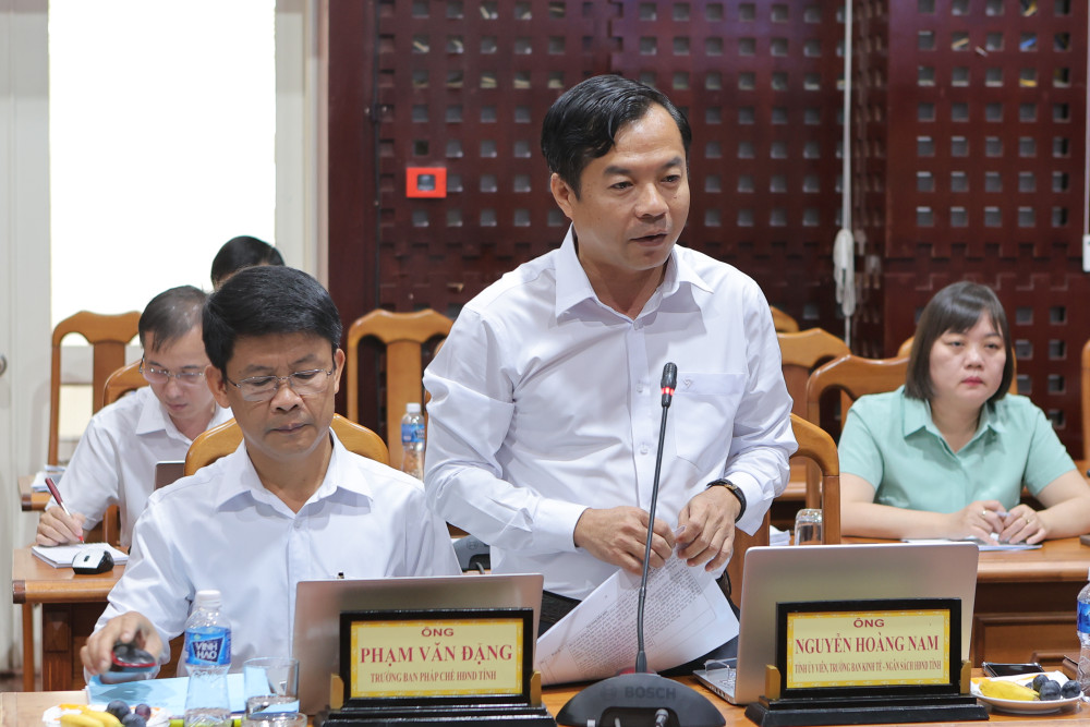 Đồng chí Nguyễn Hoàng Nam, Trưởng Ban Kinh tế - Ngân sách HĐND tỉnh phát biểu tại buổi giám sát.