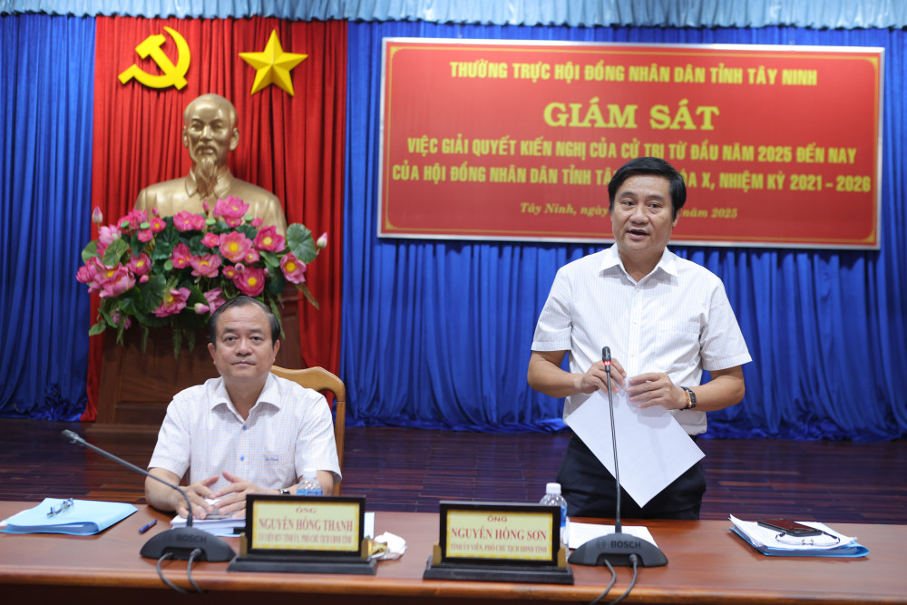 Tỉnh Ủy viên, Phó Chủ tịch HĐND tỉnh Nguyễn Hồng Sơn phát biểu kết luận buổi giám sát.