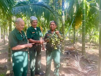 Cựu chiến binh gương mẫu phát huy truyền thống, xứng danh Bộ đội Cụ Hồ