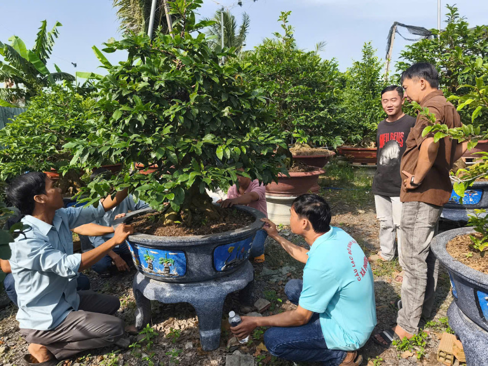 Vocational training—the 'key' to the future