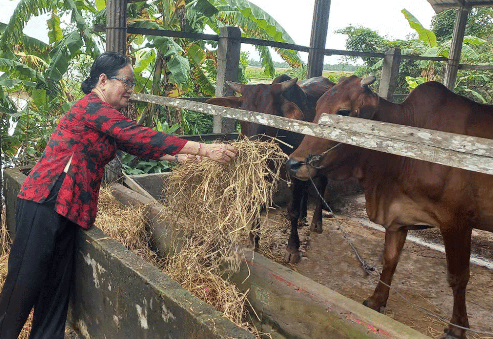 Nông dân noi gương Bác