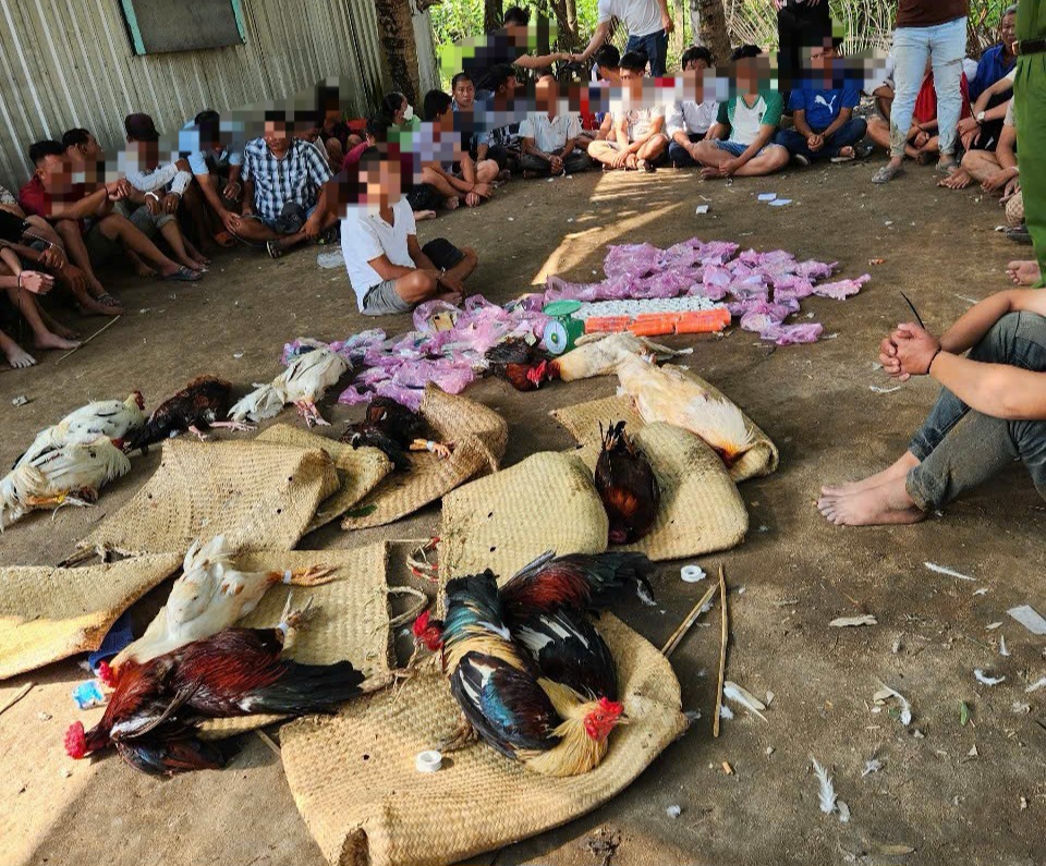 Đấu tranh quyết liệt, triệt xóa các tụ điểm cờ bạc