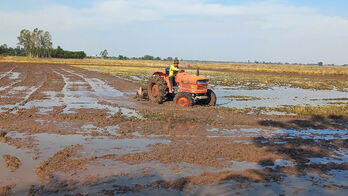 Nước lũ rút chậm ảnh hưởng đến tiến độ gieo sạ