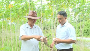 Nông dân Lộc Ninh đổi mới tư duy, nâng cao hiệu quả sản xuất