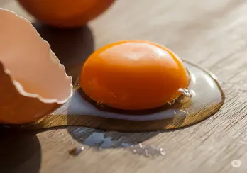 Ăn lòng đỏ trứng: Rủi ro sức khỏe, lợi ích và những điều cần lưu ý