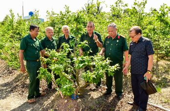 Phát huy truyền thống Bộ đội Cụ Hồ, cựu chiến binh tỉnh thi đua hoàn thành xuất sắc nhiệm vụ
