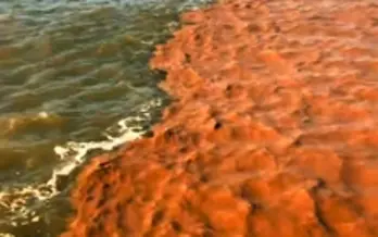 Cà Mau có 40 xã, phường An toàn khu, người dân được hưởng quyền lợi ra sao?