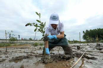 Việt Nam trồng 1,4 tỉ cây xanh sau 5 năm, đóng góp quan trọng cho nỗ lực ứng phó biến đổi khí hậu