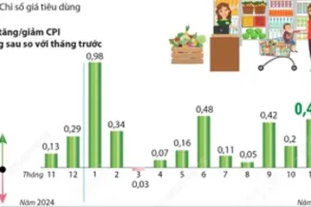 Chỉ số giá tiêu dùng tháng 11 năm 2025 tăng 0,45%