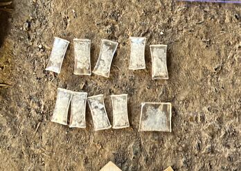 Bắt giữ đối tượng tàng trữ trái phép chất ma túy