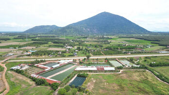 Phát triển vùng nguyên liệu đạt chuẩn GAP