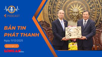 Bản tin phát thanh ngày 11/12/2025