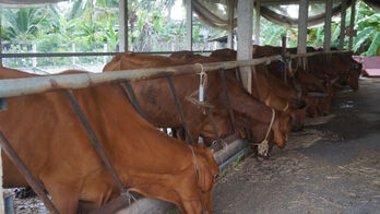 Hội Cựu chiến binh xã Vĩnh Hưng không còn hội viên nghèo