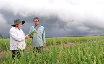 Nông nghiệp ứng dụng công nghệ cao - Vững tin bước vào giai đoạn mới