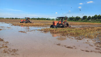 Để có vụ lúa Đông Xuân thắng lợi