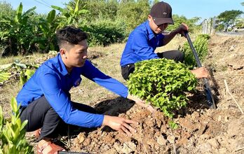 Xã Vĩnh Châu ra quân trồng cây thực hiện tuyến đường kiểu mẫu